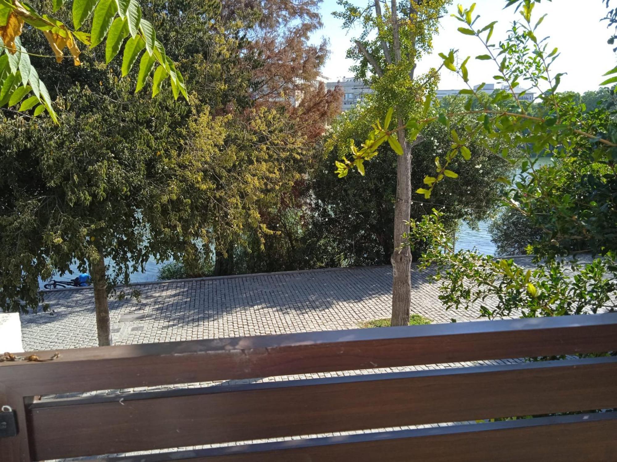 Terraza De Triana Lejlighed Sevilla Eksteriør billede